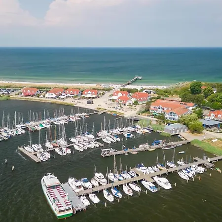 Seebär Whg 1 Muschel Apartment Rerik