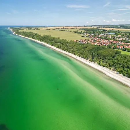 Seebär Whg 1 Muschel *